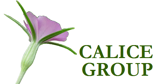 Calice Group logo